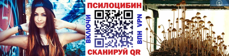 купить закладку  blacksprut сайт  Галлюциногенные грибы мицелий  Суджа 